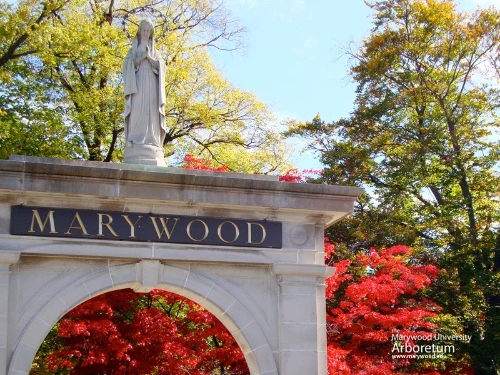 Marywood-arch-800.jpg