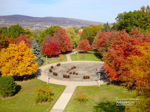 Memorial-commons-fall-800.jpg