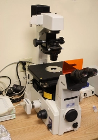 fluorescentmicroscope.jpg