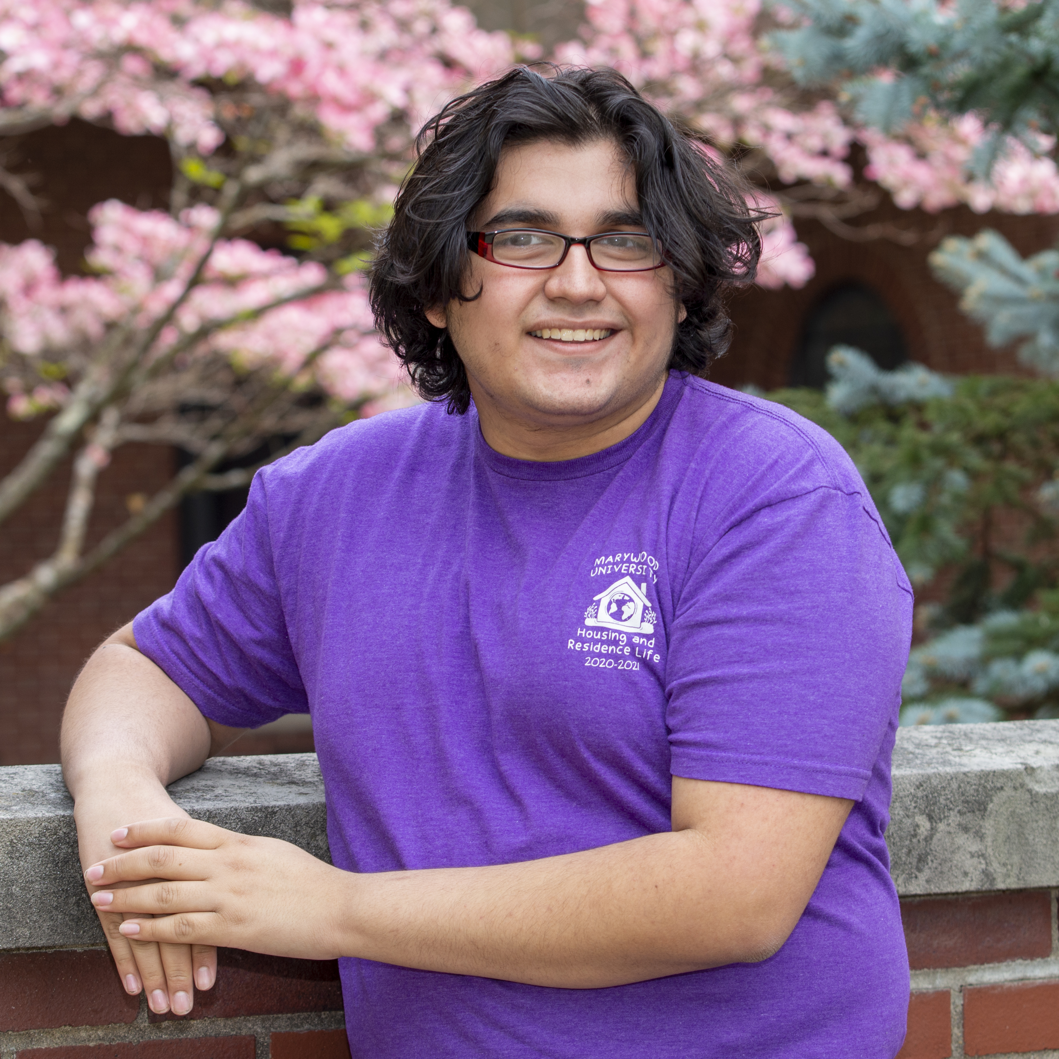 guy in purple shirt sitting by pink flower tree