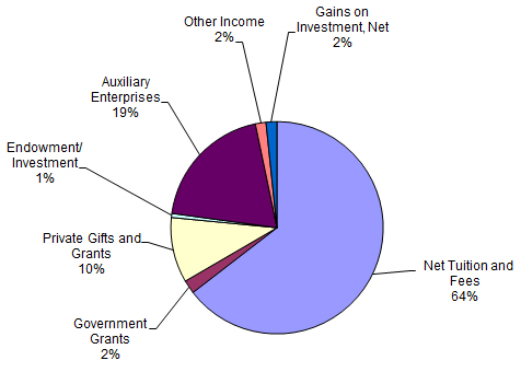 Pie chart displaying the percentage of various sources of revenue